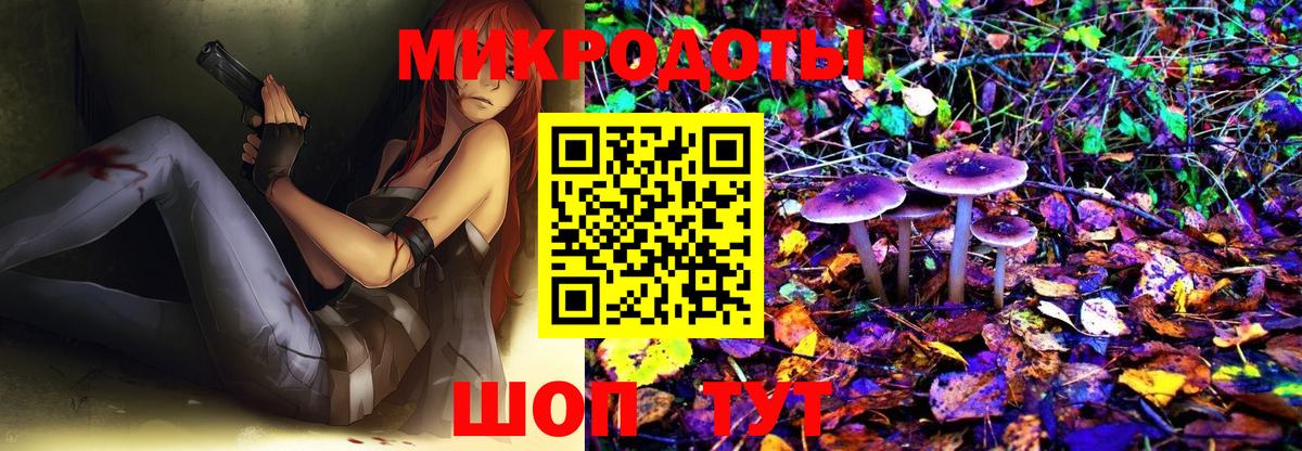 Галлюциногенные грибы Psilocybe  Вход с VPN  Ставрополь 